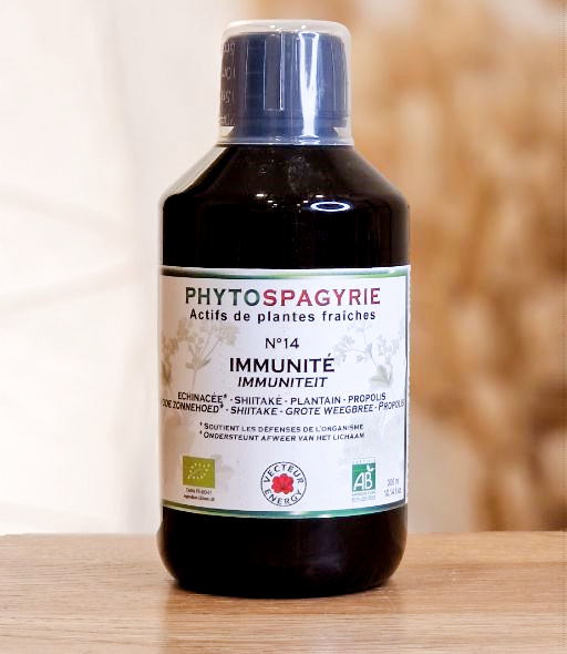 N°14 Immunité - Défenses : Echinacea, Shiitake (Phytospagyrie) VECTEUR ENERGY