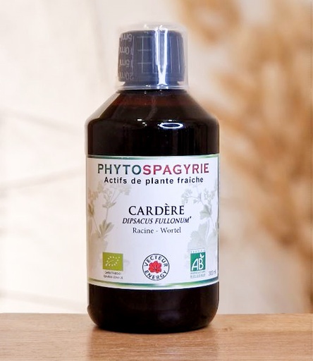 [3416387200518] Cardère (Phytospagyrie) VECTEUR ENERGY